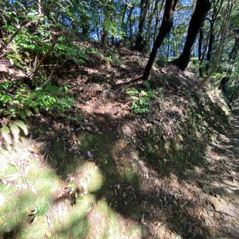 踏み跡がある法面を登る