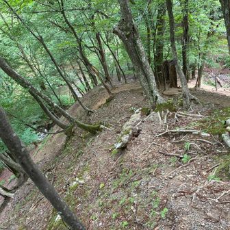 そんな山行ってたから、
今日の山行が、ご褒美に感じれる✨
そして、割と楽に登れてる☺️