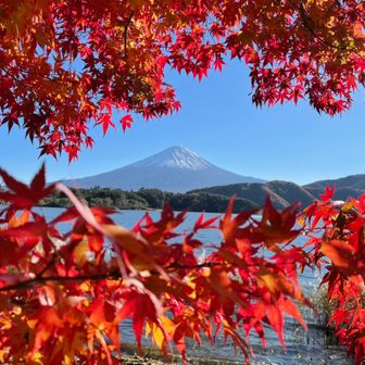 ﾅｲﾝﾁｪ・×・