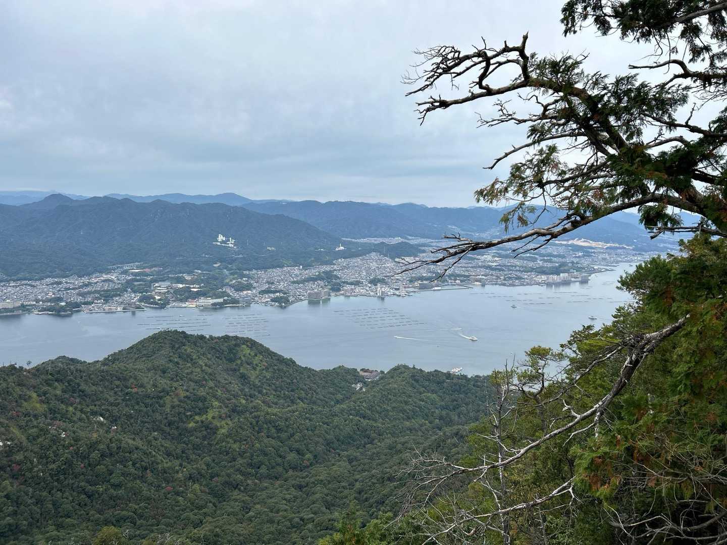フェリーがひっきりなしに往復してます