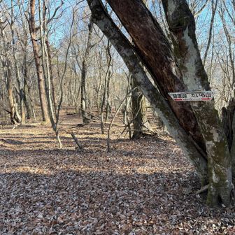 先に進みます。