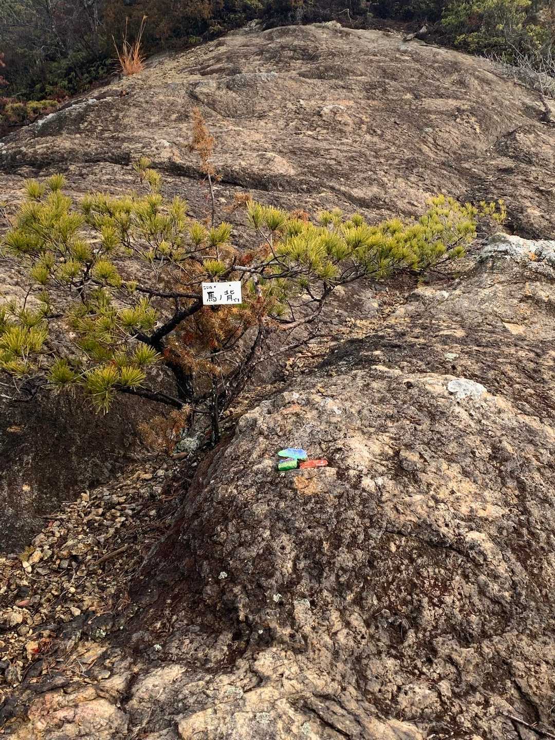 和気鵜飼谷温泉登山口-和気アルプス登山口-穂高山 周回コースの写真