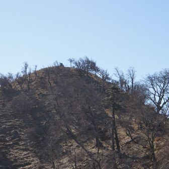 山頂が見えてます