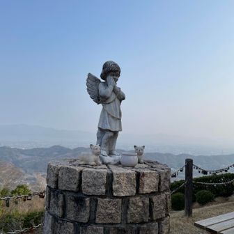 途中に何かの広場に