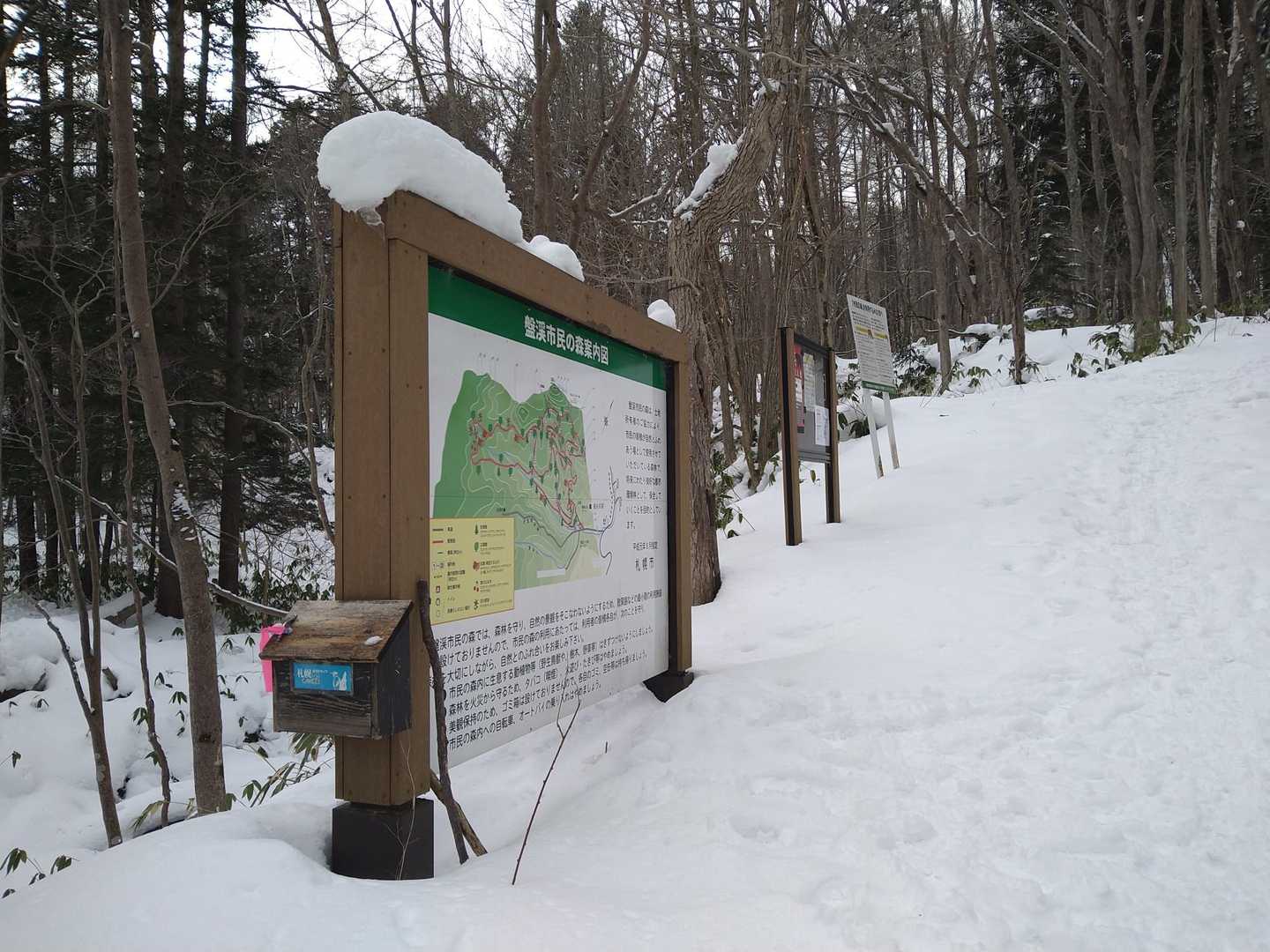 下山しましたが