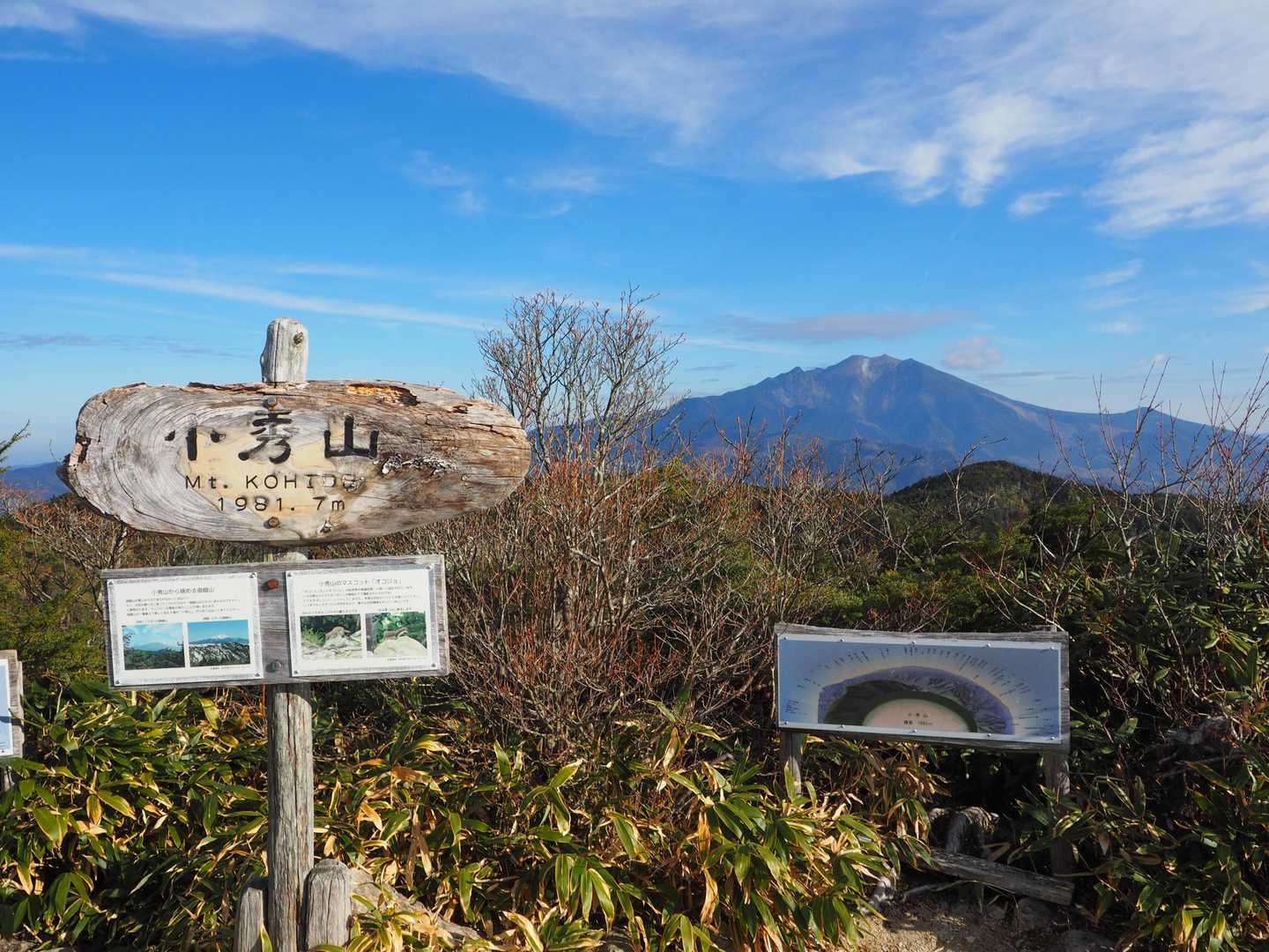 思いがけず良い山でした
名残惜しいですが下ります