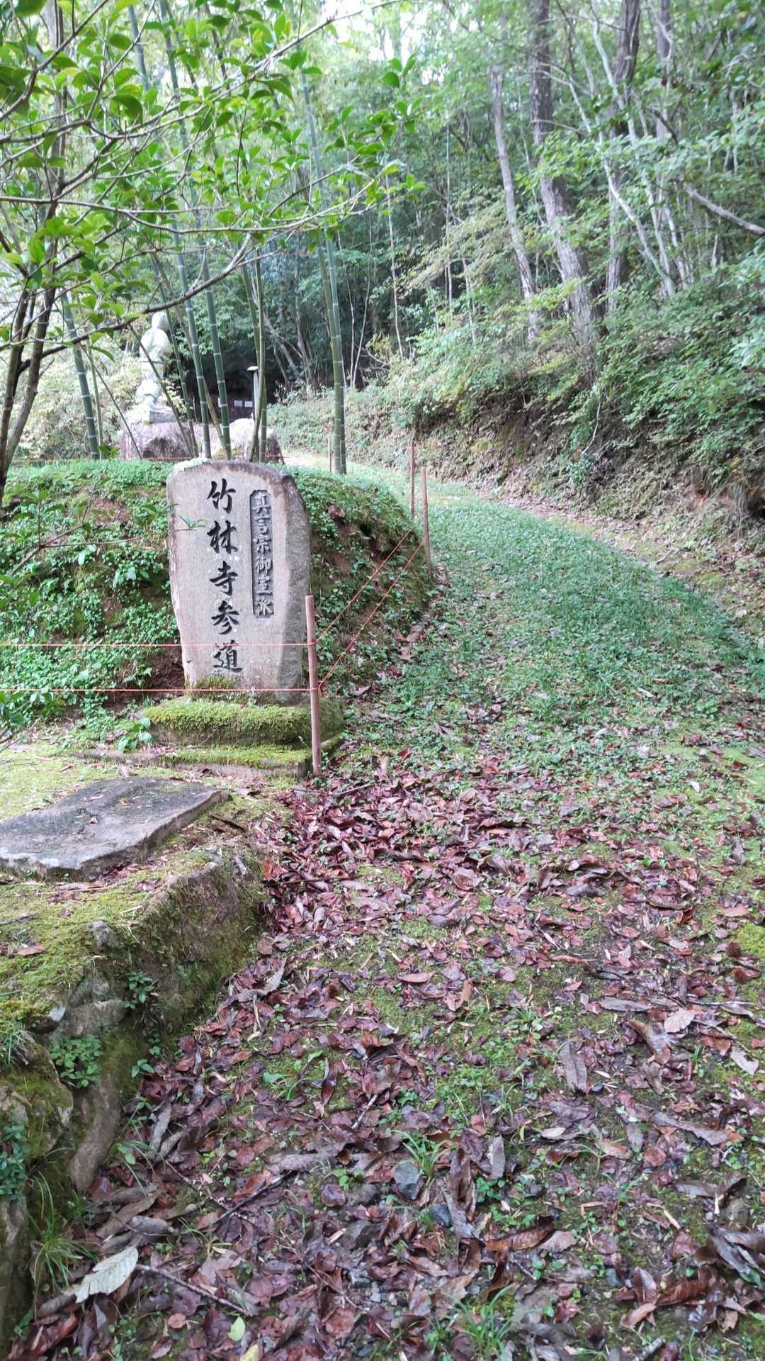 ここだけ緑の道があります