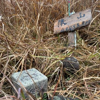 三角点見つけに　ウロウロ〜
この後、山頂も強風あって長居できず
撤退ー！

雨の日から再開した山歩き、楽しく歩きたい