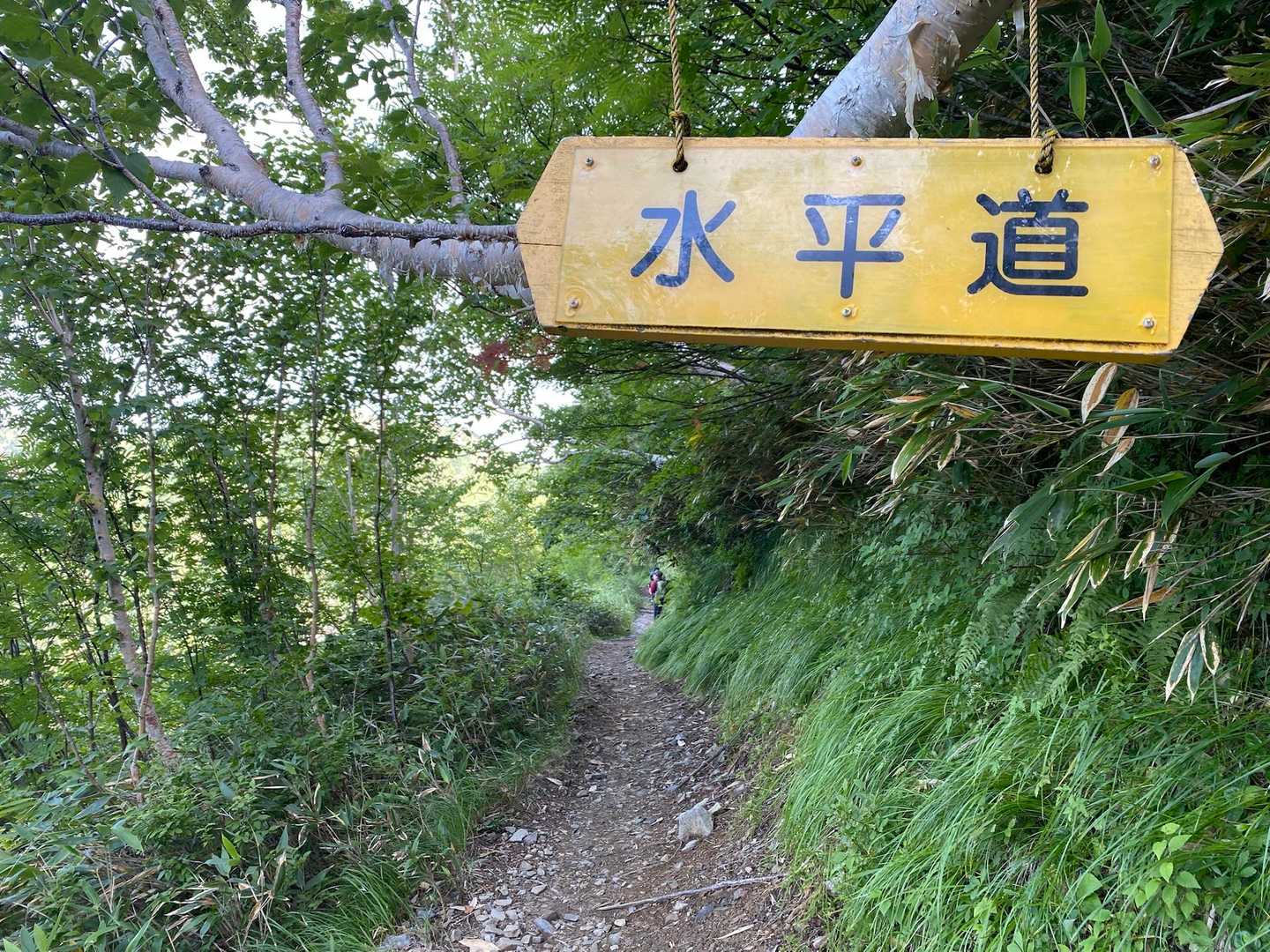 やだ！！　嬉しい〜
歩いて2時間くらいで、これはありがたい💕