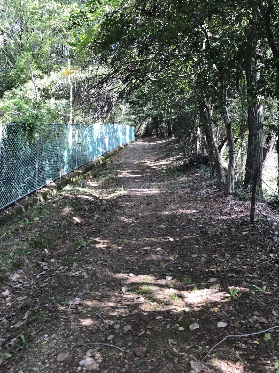 木陰があって、良かった🍂