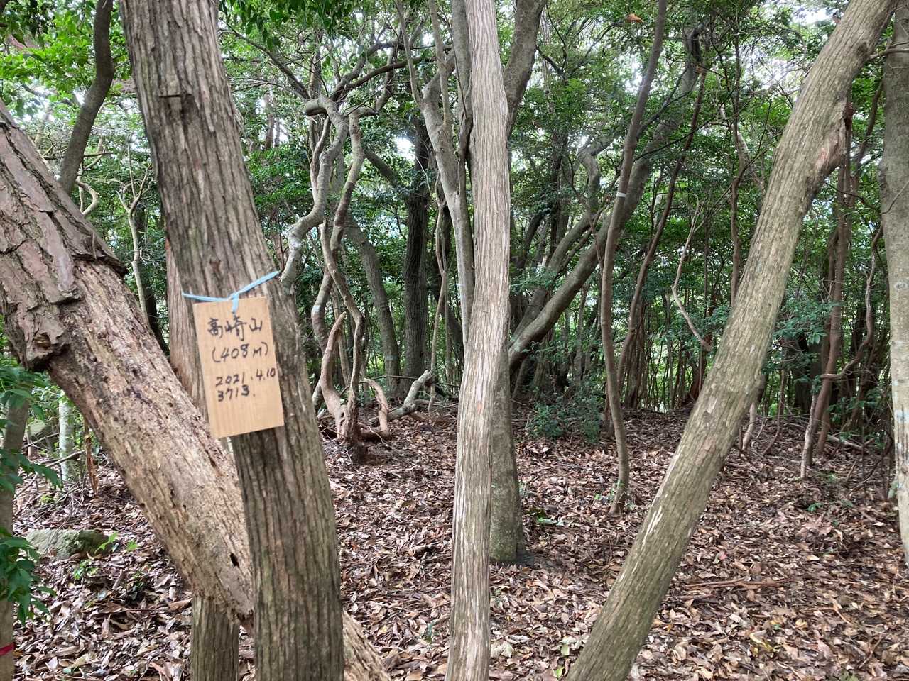 大蔵山-古城ヶ岳-五十鈴川の頭-高崎山-鴻ノ峰-鴻ノ峰登山 縦走コースの写真