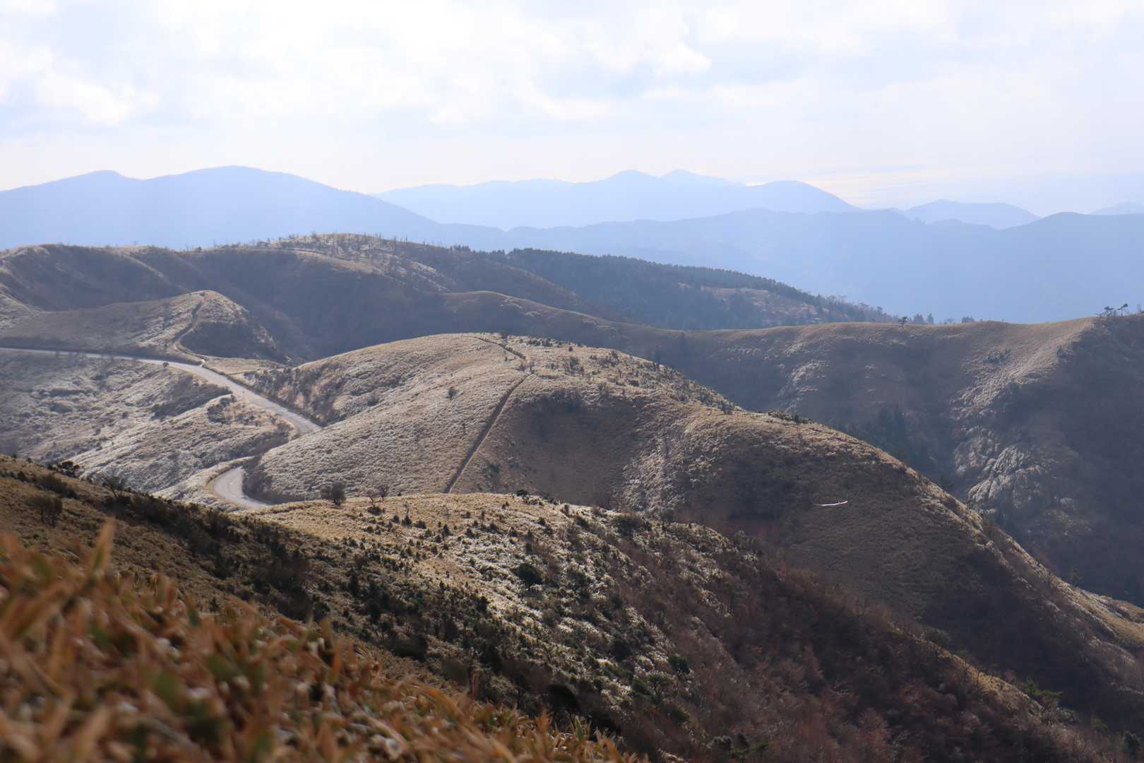 金冠山〜小達磨山〜達磨山〜古稀山〜伽藍山　往復コースの写真