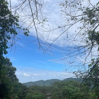 午前中あんなに雨降ってたのに、青空が