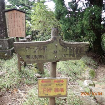 蓑毛（みのげ）からの登山道との合流（十六丁目/28）