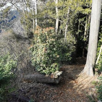 下にきれいに降りれそう