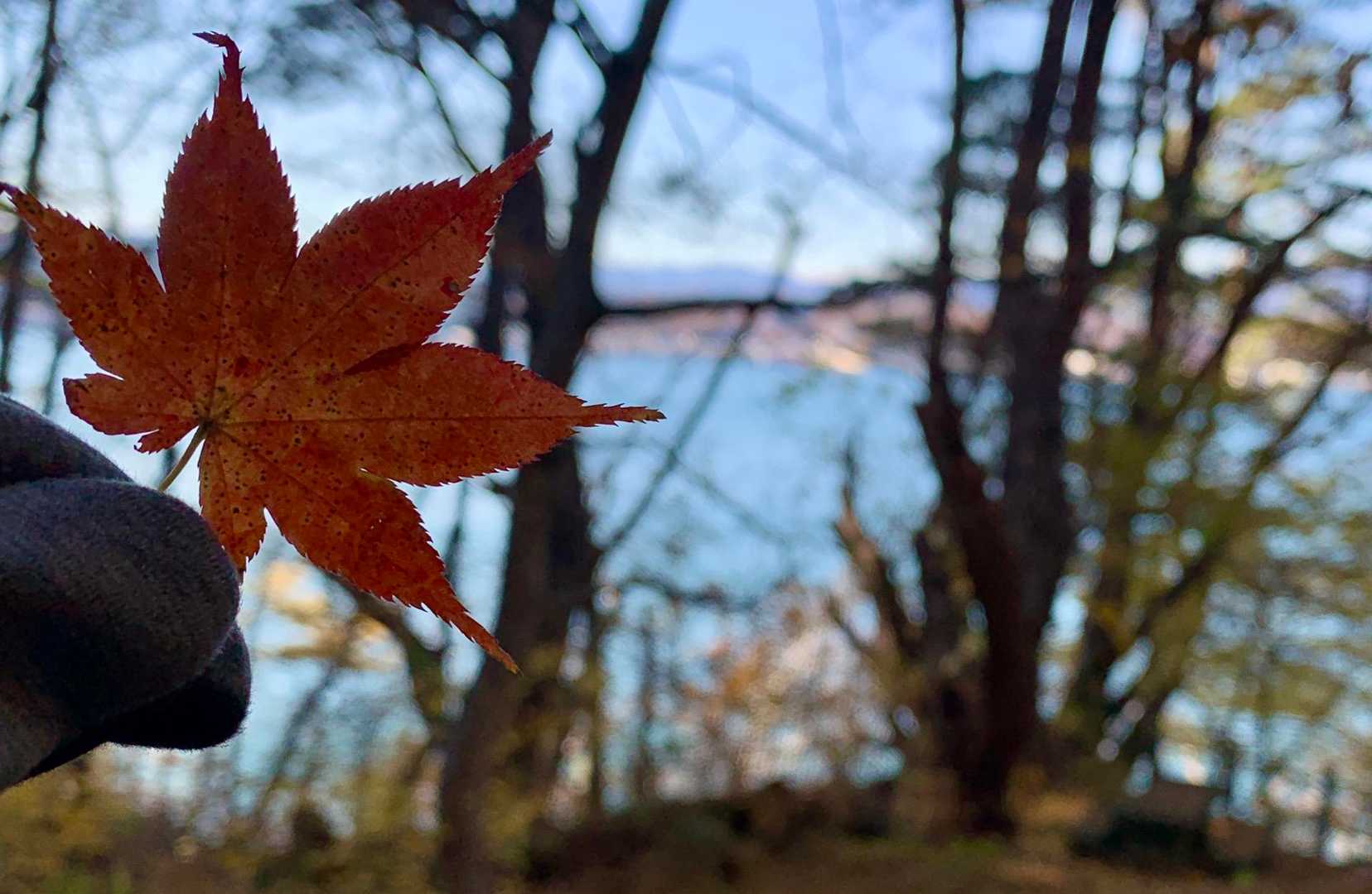 白浜登山口-月山 往復コースの写真