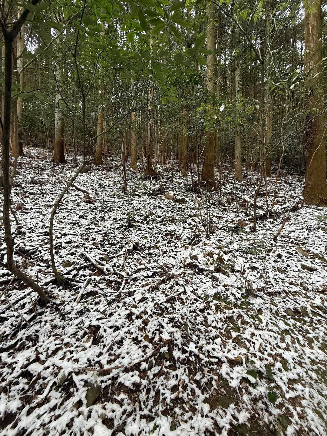 雪が残ってるぅ〜