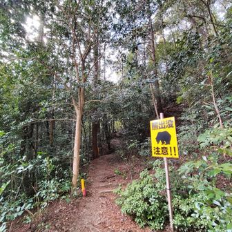 今日は予定外、思いつきで来ました。遅めの歩き出し。色々考えたいので。

クマはまだいないと思います。
わたし、今までに岐阜と群馬で3度クマに遭遇しているので、いつも気にしています🐻