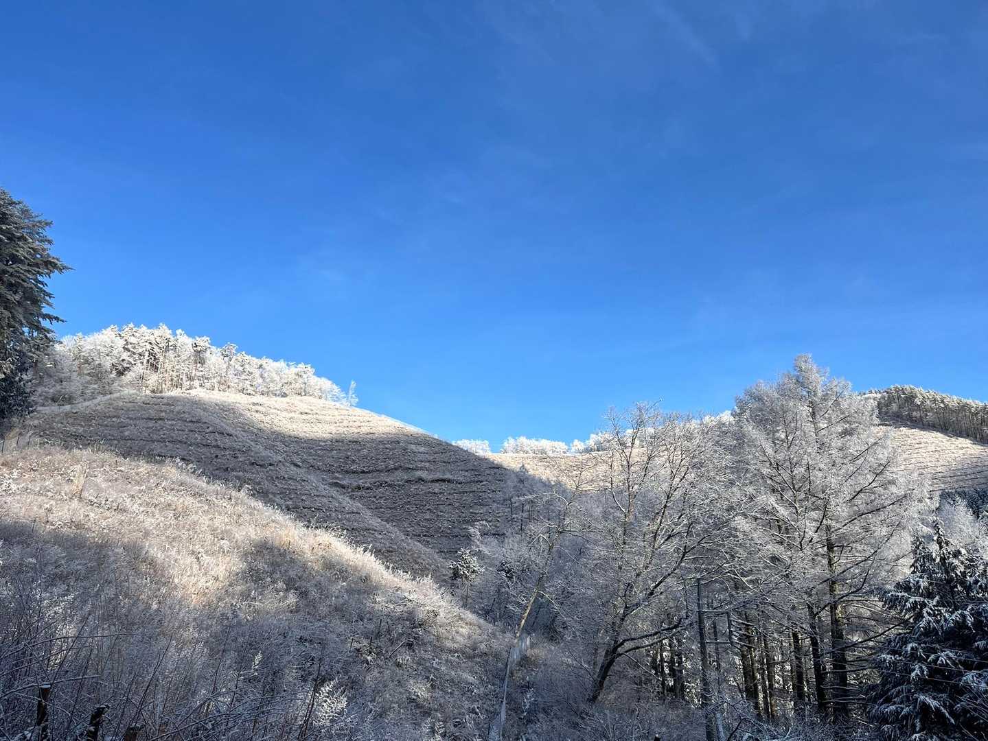 この時は快晴でした☀️