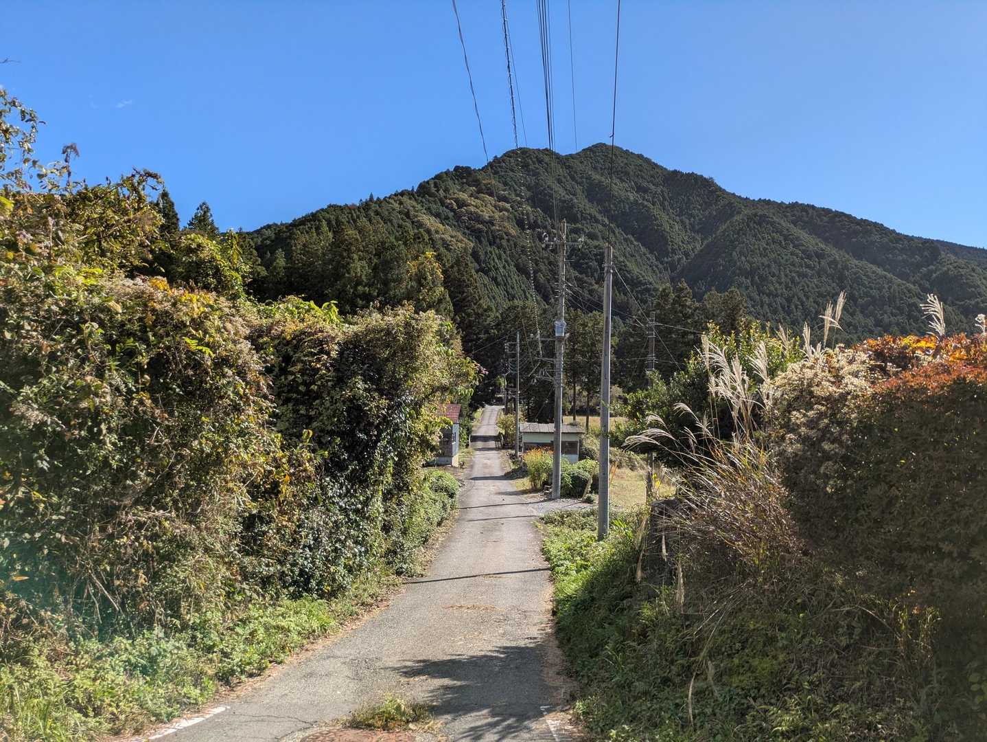 笹目倉山