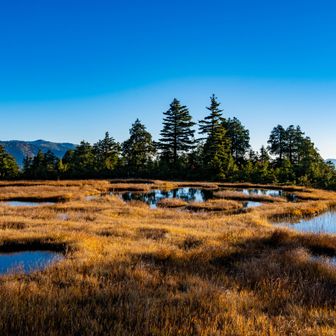 青空と池塘と草紅葉が別世界に誘う