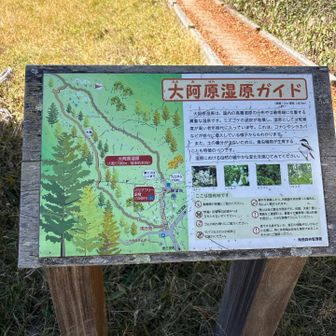 一周したので戻ります