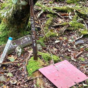 久保の息🌬️謂れはわかりません🤷‍♂️

寝坊してなければ、切剥〜三方山〜高岳に行く予定でしたが、予定を変更し稲積山へ向かいます🫡