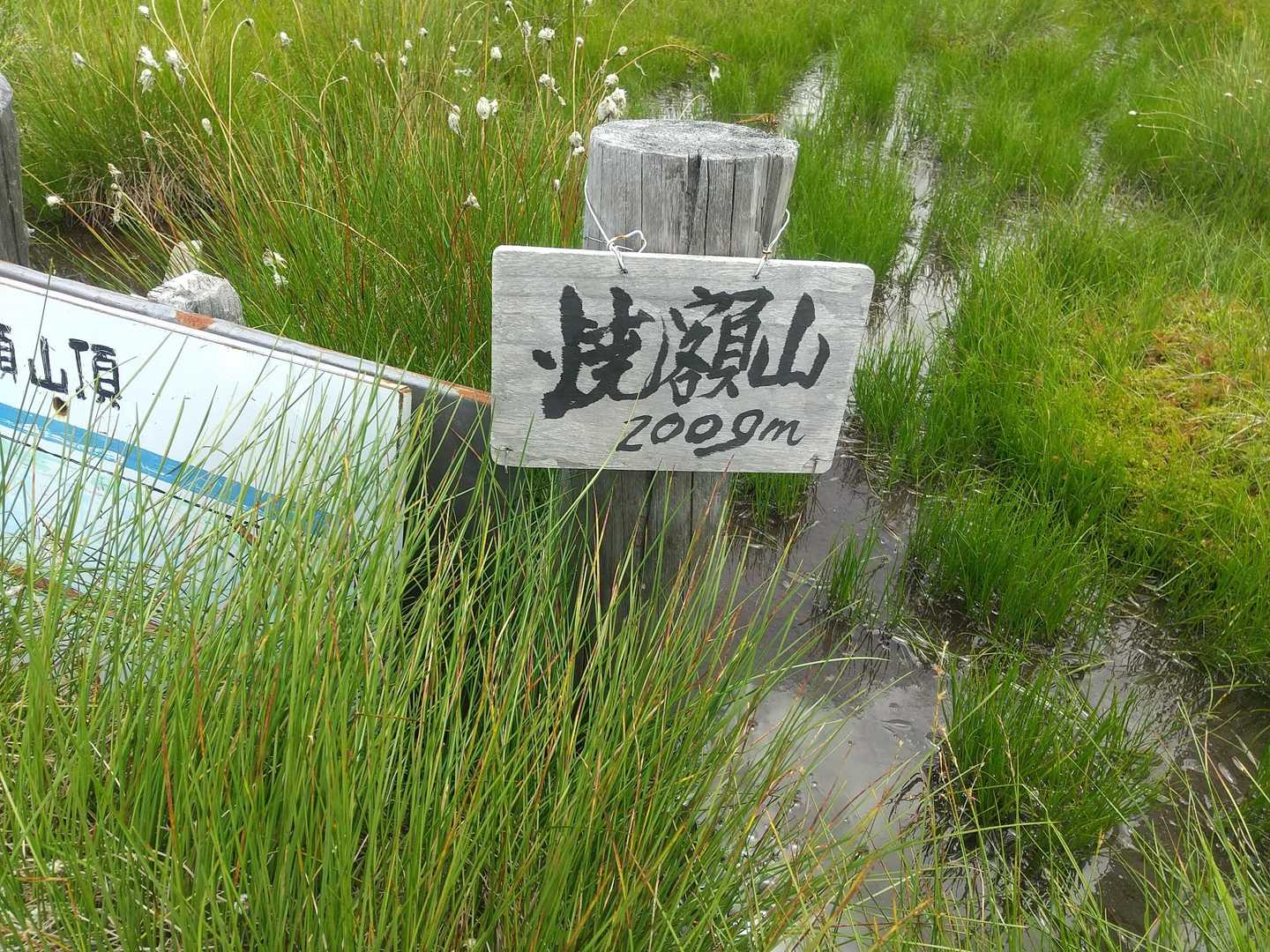 山頂です