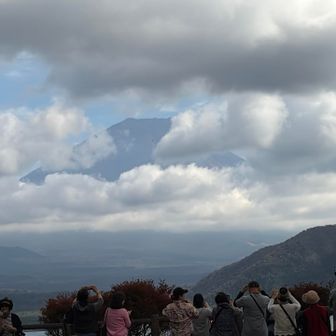 ちょっと待ってたら、顔が見えた！