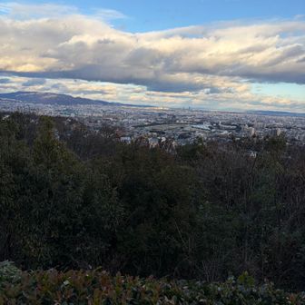 甲山森林公園の展望台。かなり下ってきた