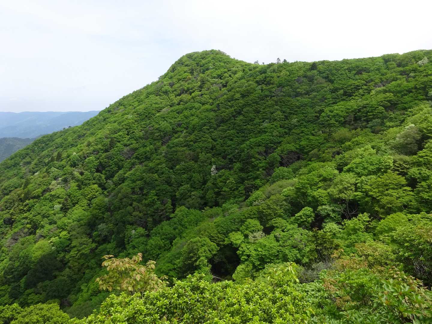 展望岩から広戸仙