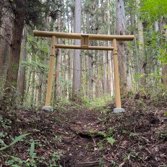 登山口からすぐ