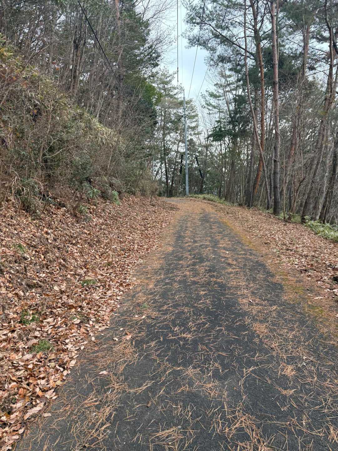 続いて舗装路🍂