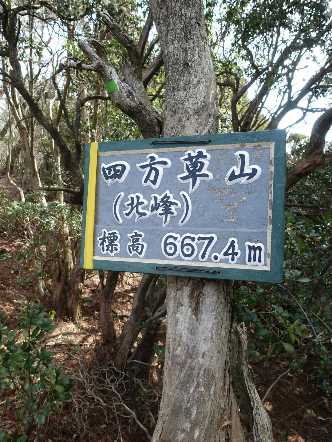 鈴鹿峠-三子山-四方草山-霧ヶ岳-相場振山-山女原バス停 周回コースの写真