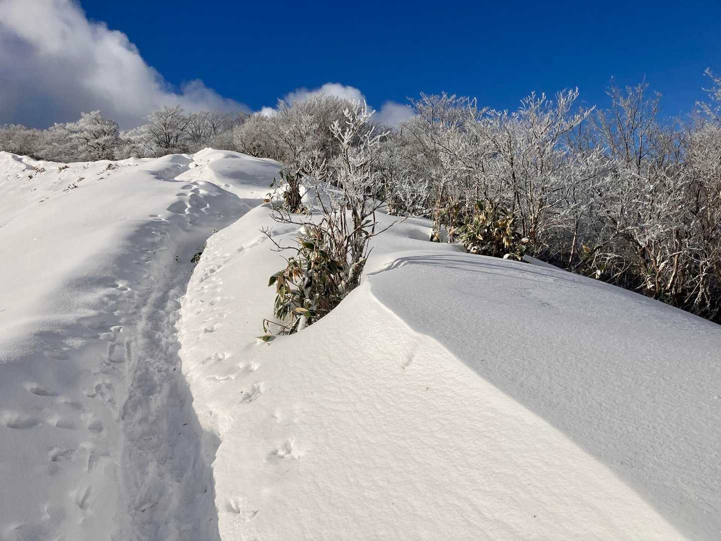 雪もたっぷり
たまらん