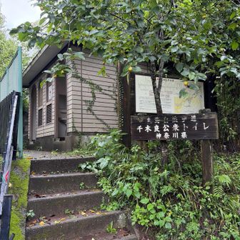 ここのトイレは本当に有り難い！