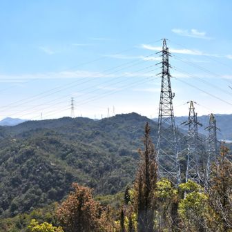 　↖️  王子が岳の頭　鴻巣山
　　　　これから歩く山