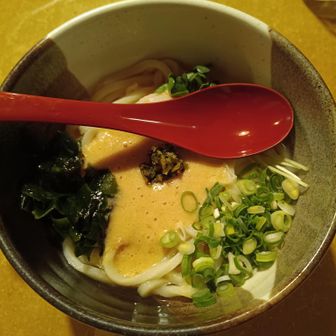 とろろうどん
麺はもちもちで、とろろとつるっと頂きました😋
お店の人も話しかけてくれてアットホームでした✨