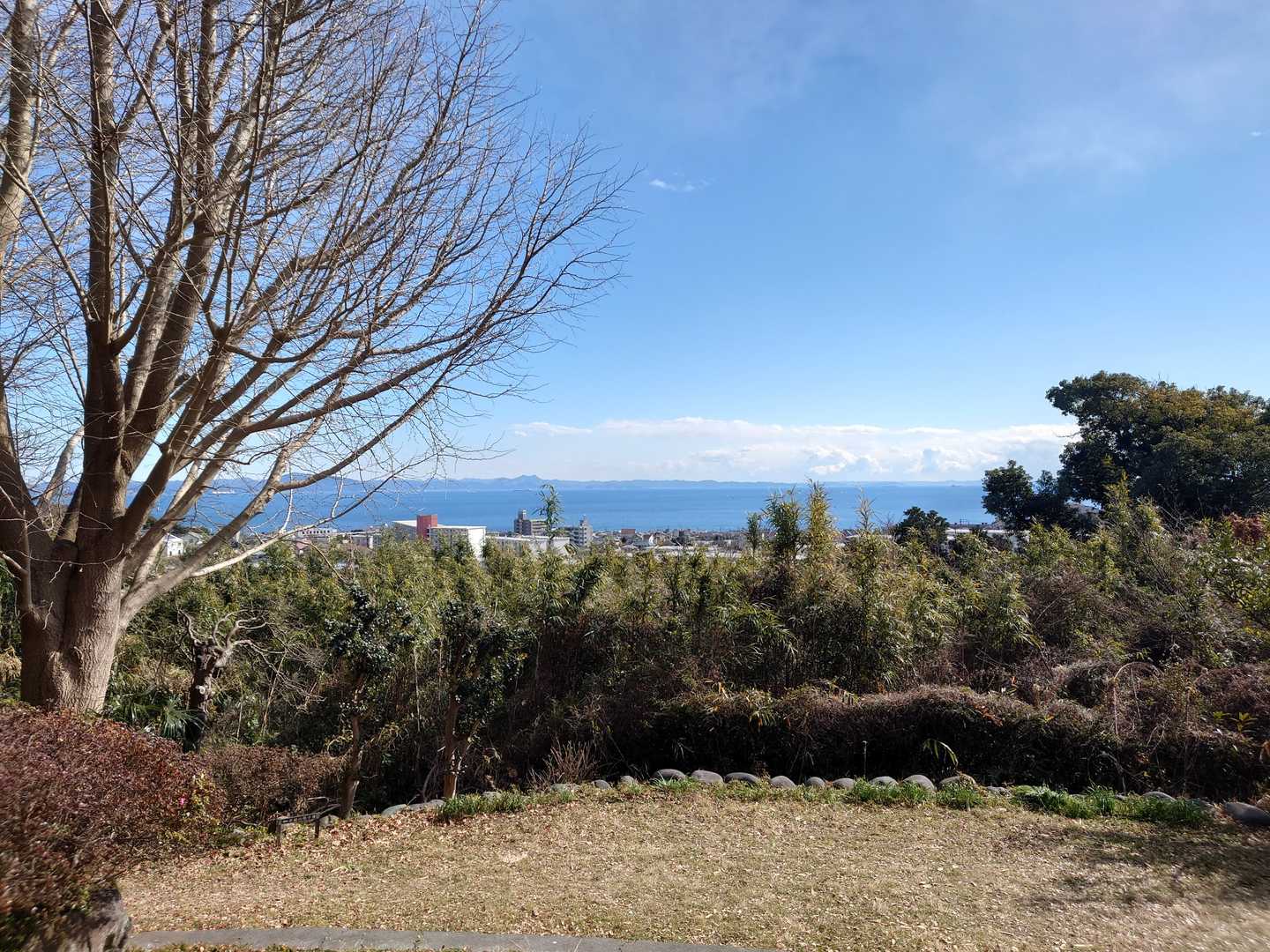 団地からちょっと上がるとこの景色です。良いところですね