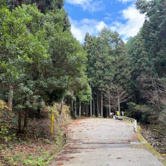 今回は終点？まで行きました