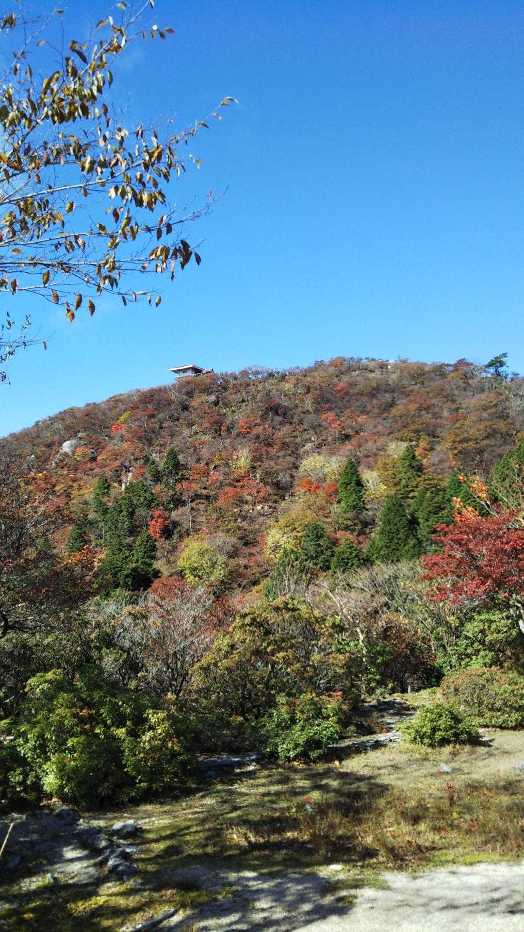 天辺に 御嶽大権現の社 ⛩️