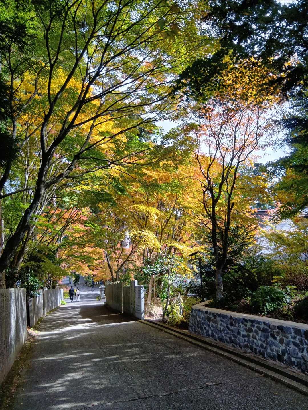 山嶺駅-雲辺寺山 周回コースの写真