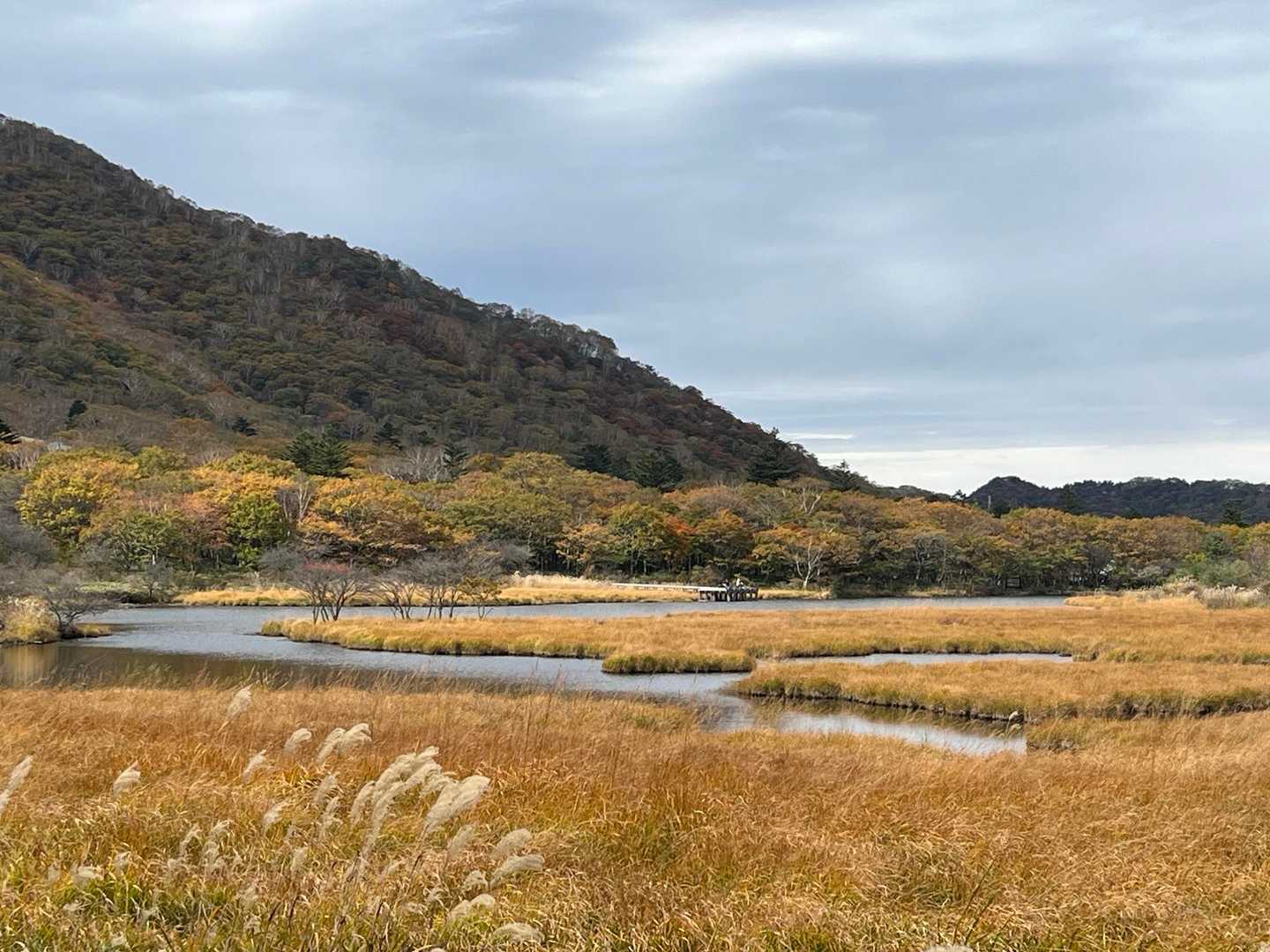 草紅葉がいいね！
この時期の覚満渕に来たのは初めて