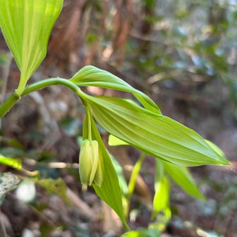 これからのようです✨️