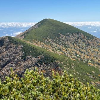 分岐から26分もかかり、2h01でパンケヌーシ山頂。芽室岳をみる。