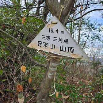 今年もお世話になりました。ありがとう💞