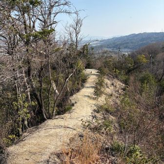 気持ちが良いロード🙆🏻✨