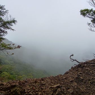 西峰