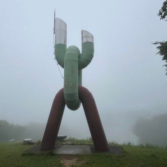 どうして？