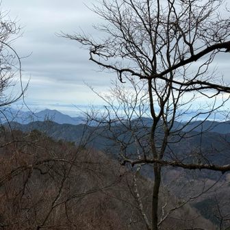 景色はまずまずでした